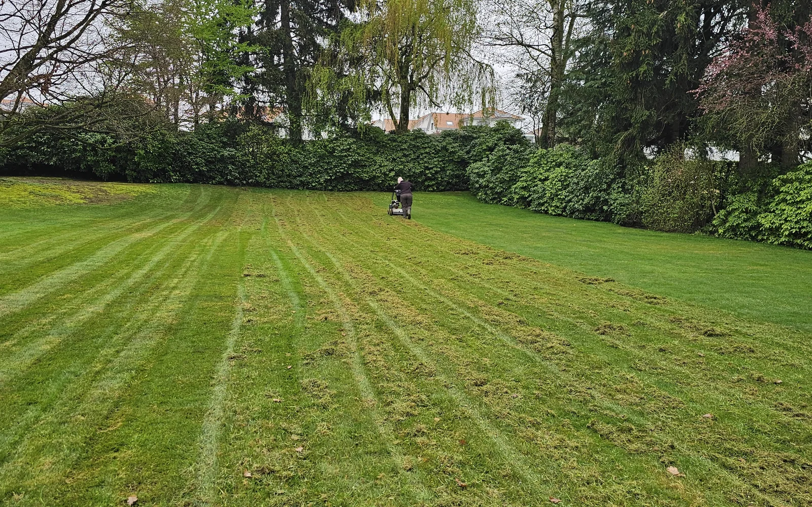 Aménagement paysager jardin soigné en Suisse romande